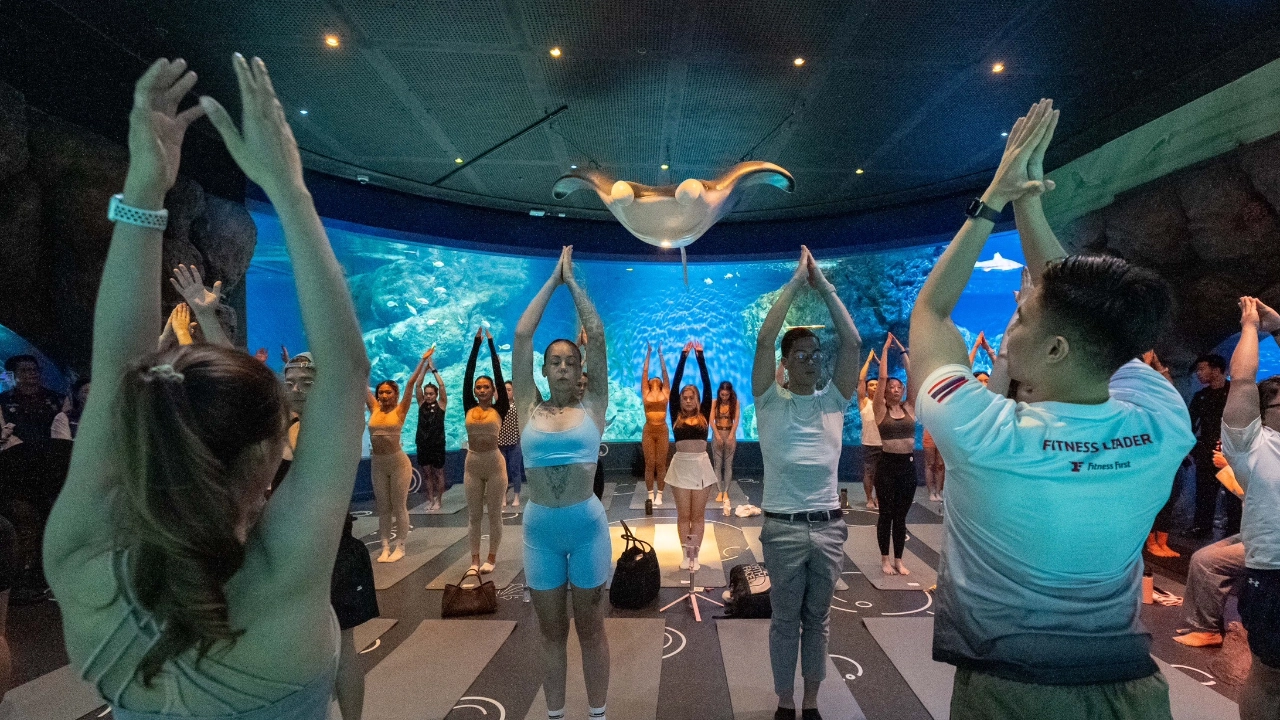 Aquarium Yoga ฮีลกาย และใจใต้ทะเลลึก ประสบการณ์ใหม่